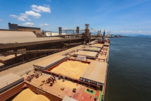 China é o destino de nove a cada dez toneladas de soja exportadas pelo Porto de Paranaguá