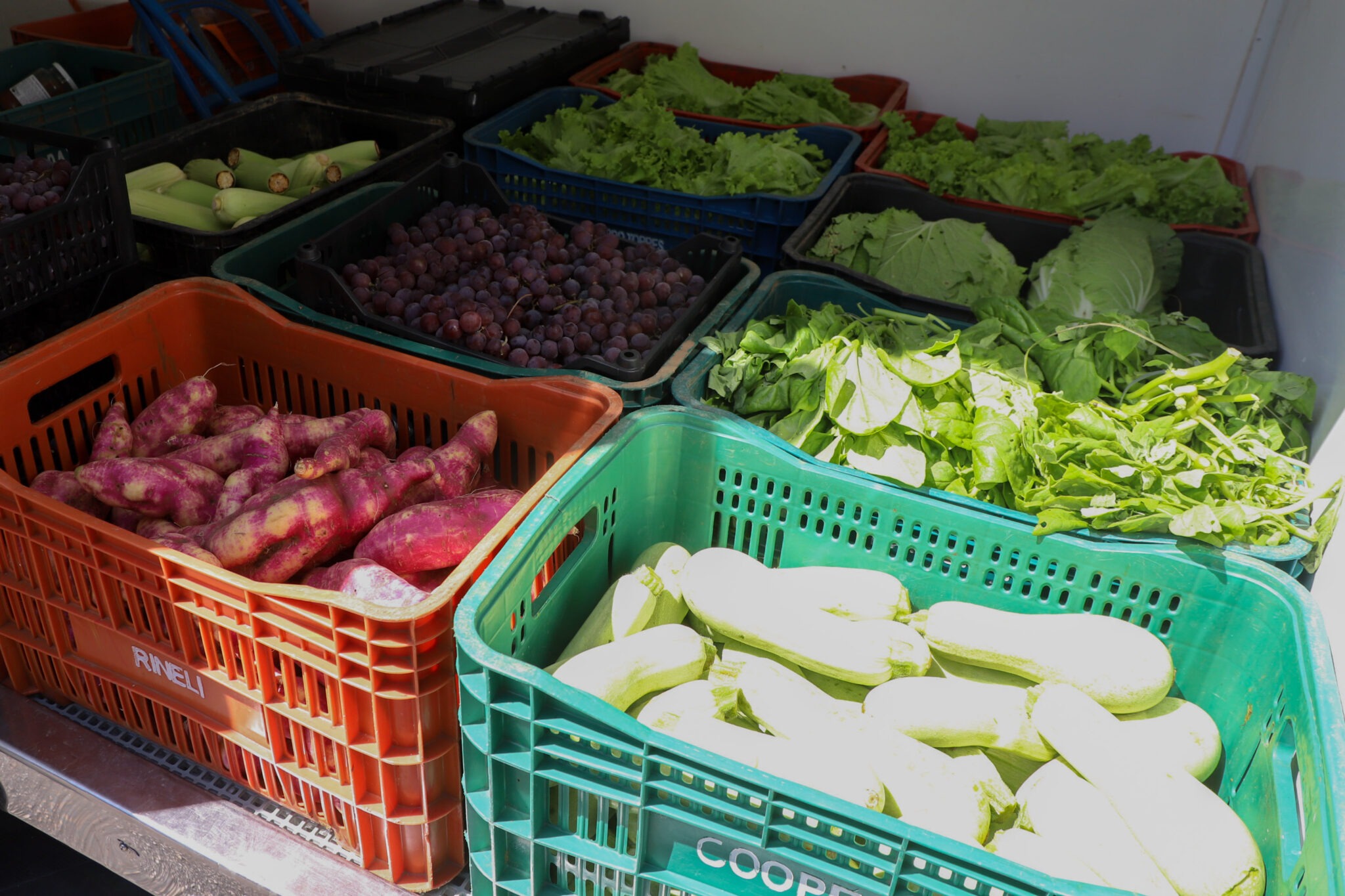 Caixas com verduras e tubérculos.