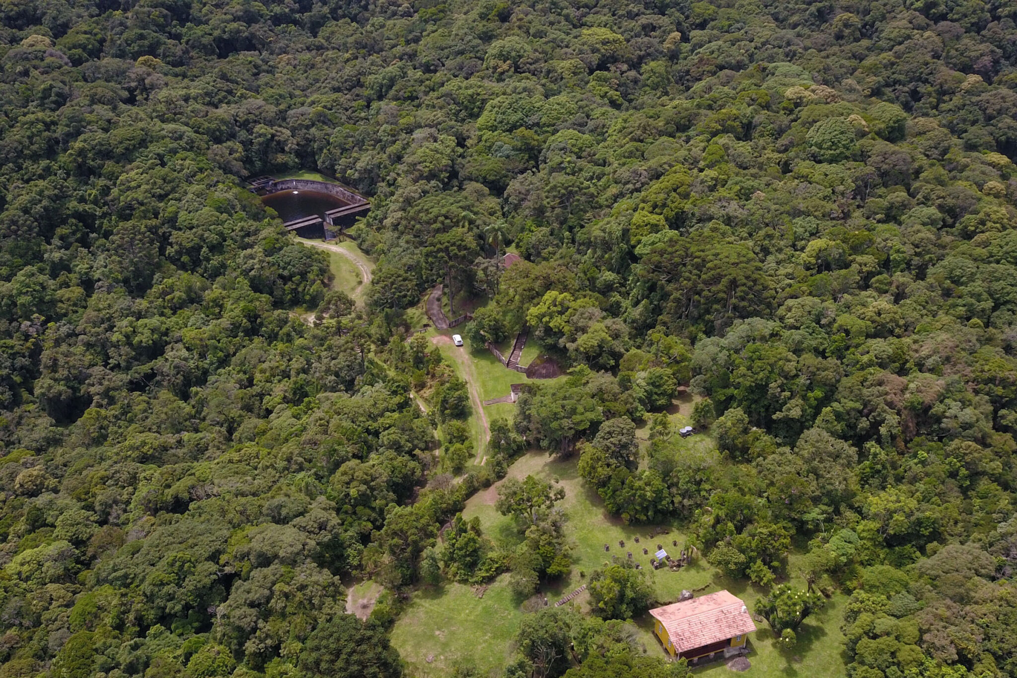 Imagem aérea de mata