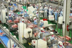 Trabalhadores de linha de produção de carnes