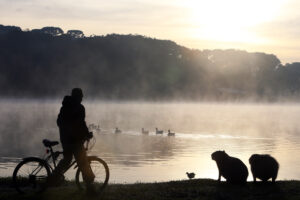 Silhueta de pessoa de bicicleta e capivara olham para lago.