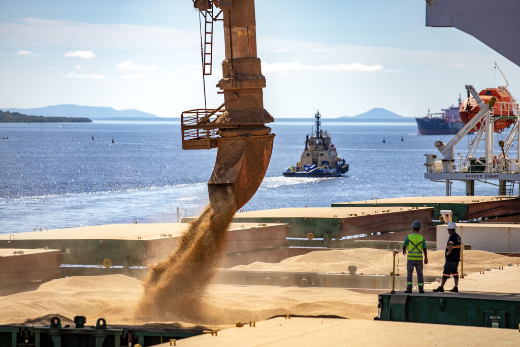 Grãos são despejados em silo de navio