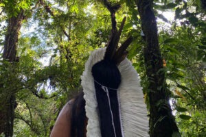 Pessoa de cabelo escuro e longo olha para cima. A pessoa está vestindo um cocar indígena feito de plumas brancas e está numa área de floresta cercada de árvores.