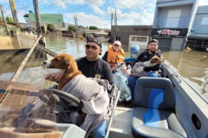 Três pessoas em barco resgatam cachorro durante enchente