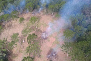 Imagem aérea de área desmatada mostra várias piras queimando madeira que provavelmente compunha a área desmatada.