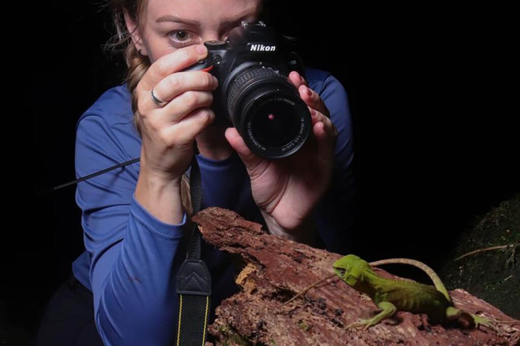 Pesquisadora usa câmera fotográfica para tirar foto de pequena réptil em galho