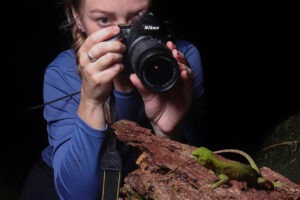 Pesquisadora usa câmera fotográfica para tirar foto de pequena réptil em galho