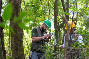 Dois técnicos fazem anotações em meio à floresta