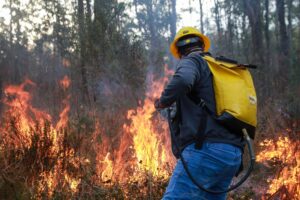 Em primeiro plano, brigadista equipado com uma mochila amarela de borracha faz exercício