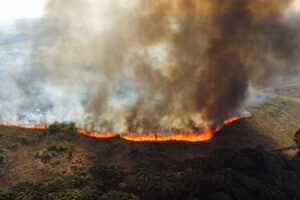 Crista de montanha em chamas. Uma coluna de fumaça sobe sob as chamas que se estendem pela crista da montanha