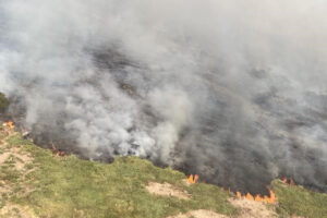 Imagem aérea de queimada em campo. A coluna de fumaça impossibilita a visão do campo atrás do fogo