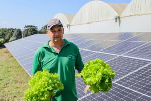 Agricultor segura alfaces em frente a placas solares instaladas na parte de trás de estufa