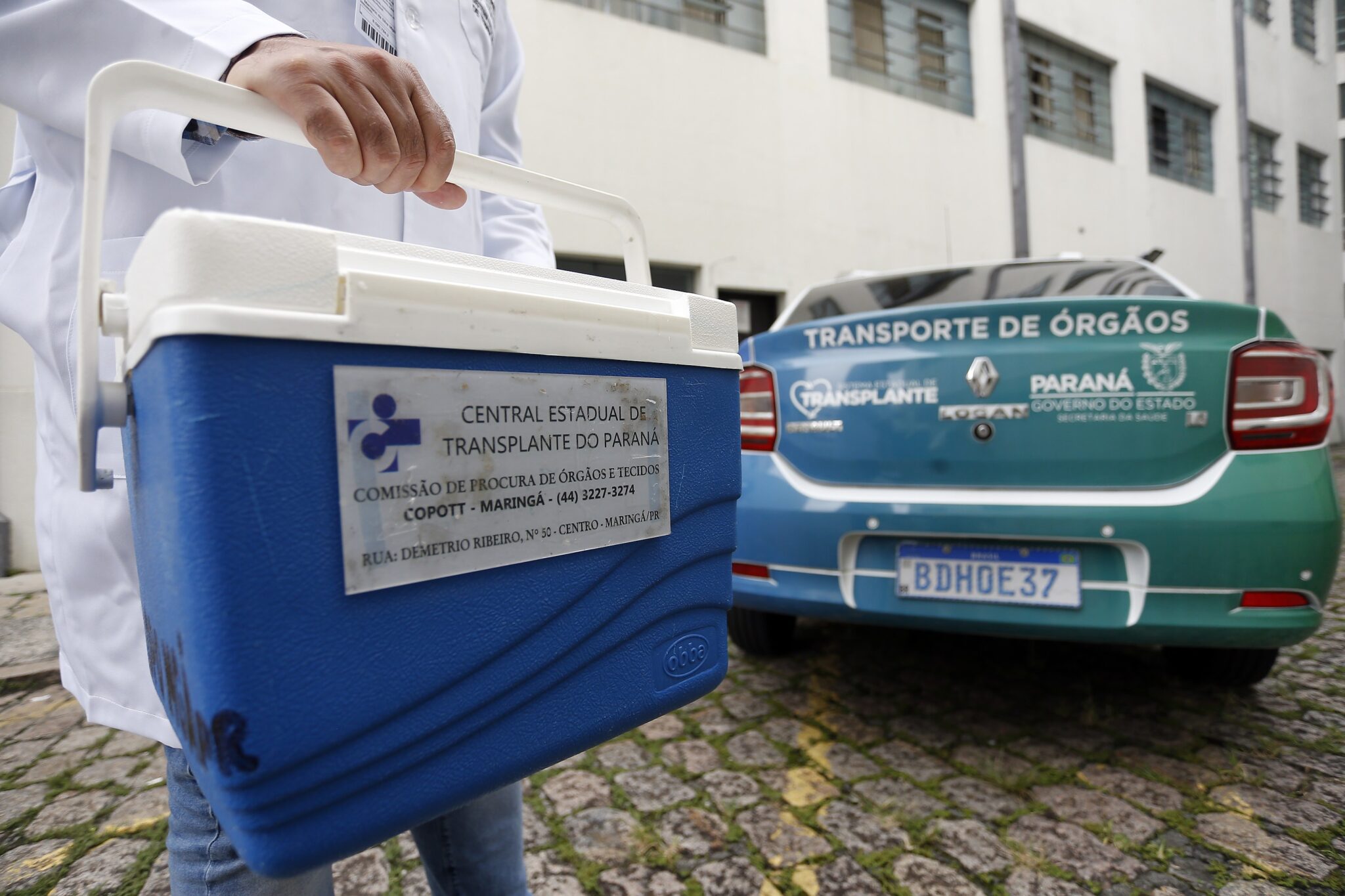 Uma caixa térmica de corpo azul e tampa branca é carregada por uma mão de uma pessoa vestindo jaleco branco para um carro com Transporte de Órgãos escrito atrás