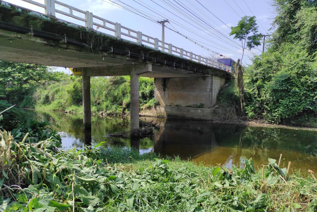 Ponte sobre rio. A câmera está na beira do rio, em primeiro plano é possível ver a vegetação ciliar seguida pelo rio. Ao fundo, a ponte atravessa a imagem de lado a lado.