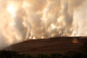 Muralha de fumaça criada por incêndio florestal