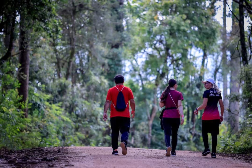 Três pessoas andam por estrada de terra. Ao fundo, a linha das árvores