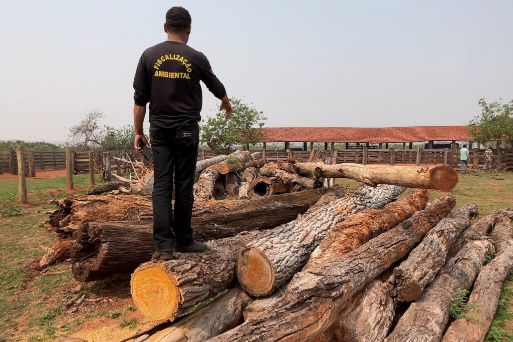 Funcionário do IAT inspeciona toras de madeira cortadas ilegalmente. Sua camisa é preta e nas costas está escrito Fiscalização Ambiental em letras amarelas.