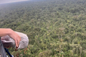 Pessoa joga sementes de janela de helicóptero