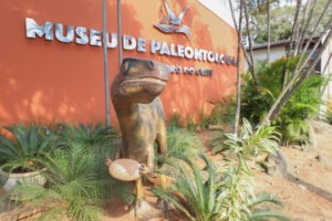 Fachada do Museu de Paleontologia de Cruzeiro do Oeste. Em primeiro plano, uma estátua de um dinossauro. Em segundo plano, um painel de cor vermelho-barro com letras prateadas formando "Museu de Paleontologia de Cruzeiro do Oeste"