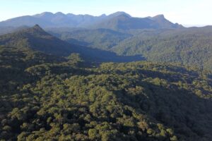 Imagem aérea da Serra do Mar