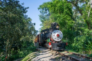 Um trem a vapor vem em direção à câmera. Em volta, nos dois lados, uma linha de árvores