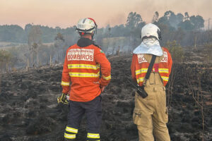 Dois bombeiros de costas para a câmera olham para campo queimado