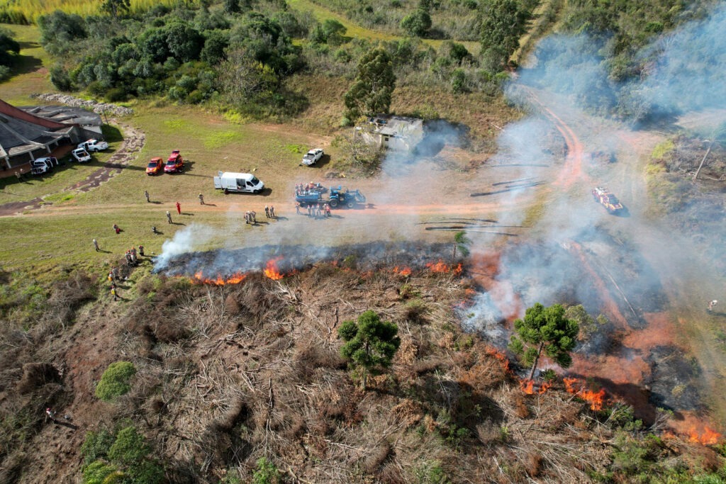 Imagem aérea de vegetação seca sendo queimada. Fumaça branca sobe a partir do fogo no chão, bombeiros observam em volta