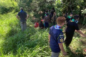 Plantio de 5 mil mudas nativas vai ajudar na proteção das margens de rios no Paraná