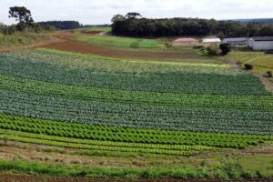 Imagem aérea de plantação em beira de floresta