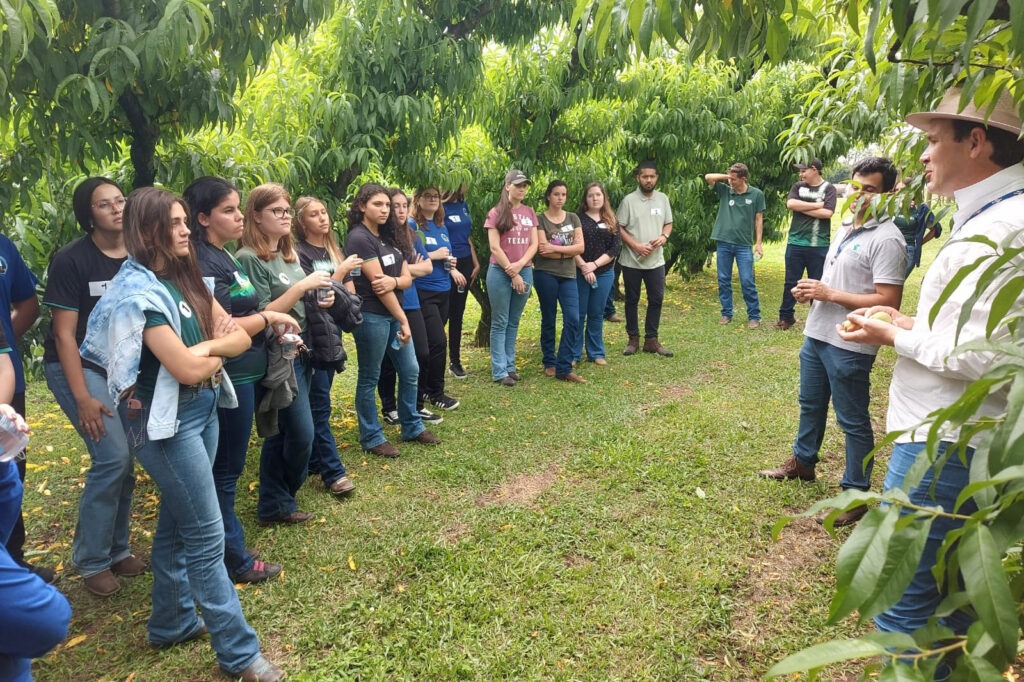 Estudantes em semi-círculo observam instrutor. Em volta do grupo, árvores de folhas verdes cobrem o fundo