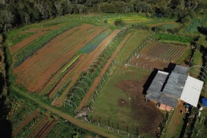 Imagem aérea de propriedade rural. No canto inferior direito, uma casa. Todo o restante da foto mostra uma plantação e cercados