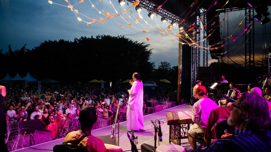 Foto de show musical noturno. A pessoa no palco está iluminada com uma luz rosa. A mesma luz derrama sobre as primeiras fileiras do público