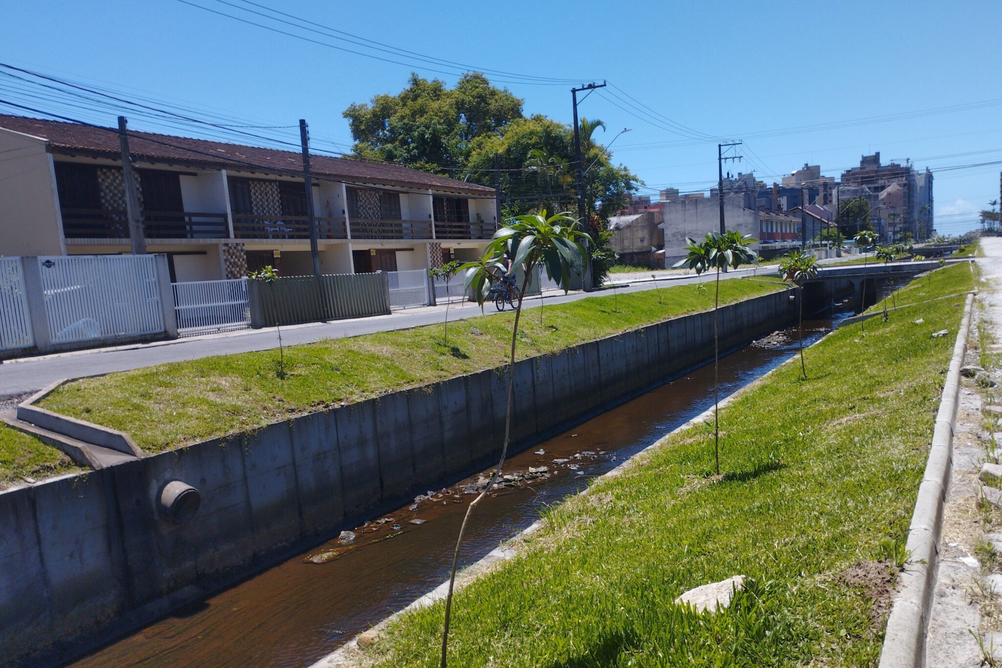 Canal de água cercado por trecho de grama que percorre em paralelo ao canal. No trecho de grama, pequenas mudas de árvore estão plantadas.