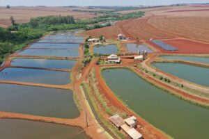 Fundação Araucária e Biopark Educação oferecem bolsas em piscicultura