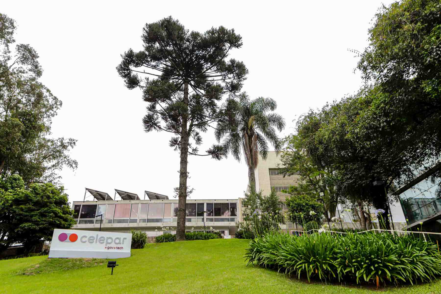 Governo formaliza suspensão da privatização da Celepar e leilão não deve acontecer dia 17