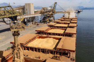 Com 21% do total, soja em grão lidera exportações no Paraná