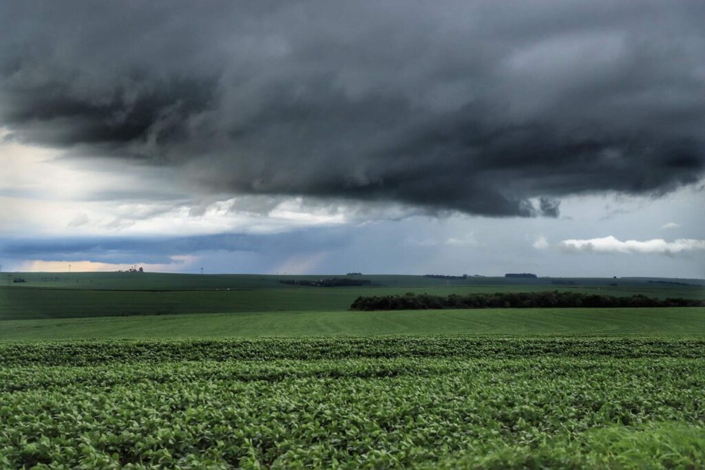 Plantação de soja com nuvens pesadas de chuva