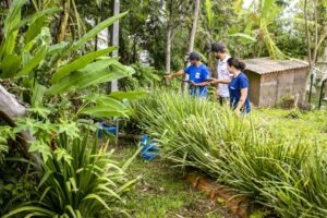 Ilha da Eufrasina, em Paranaguá, ganha sistema de saneamento