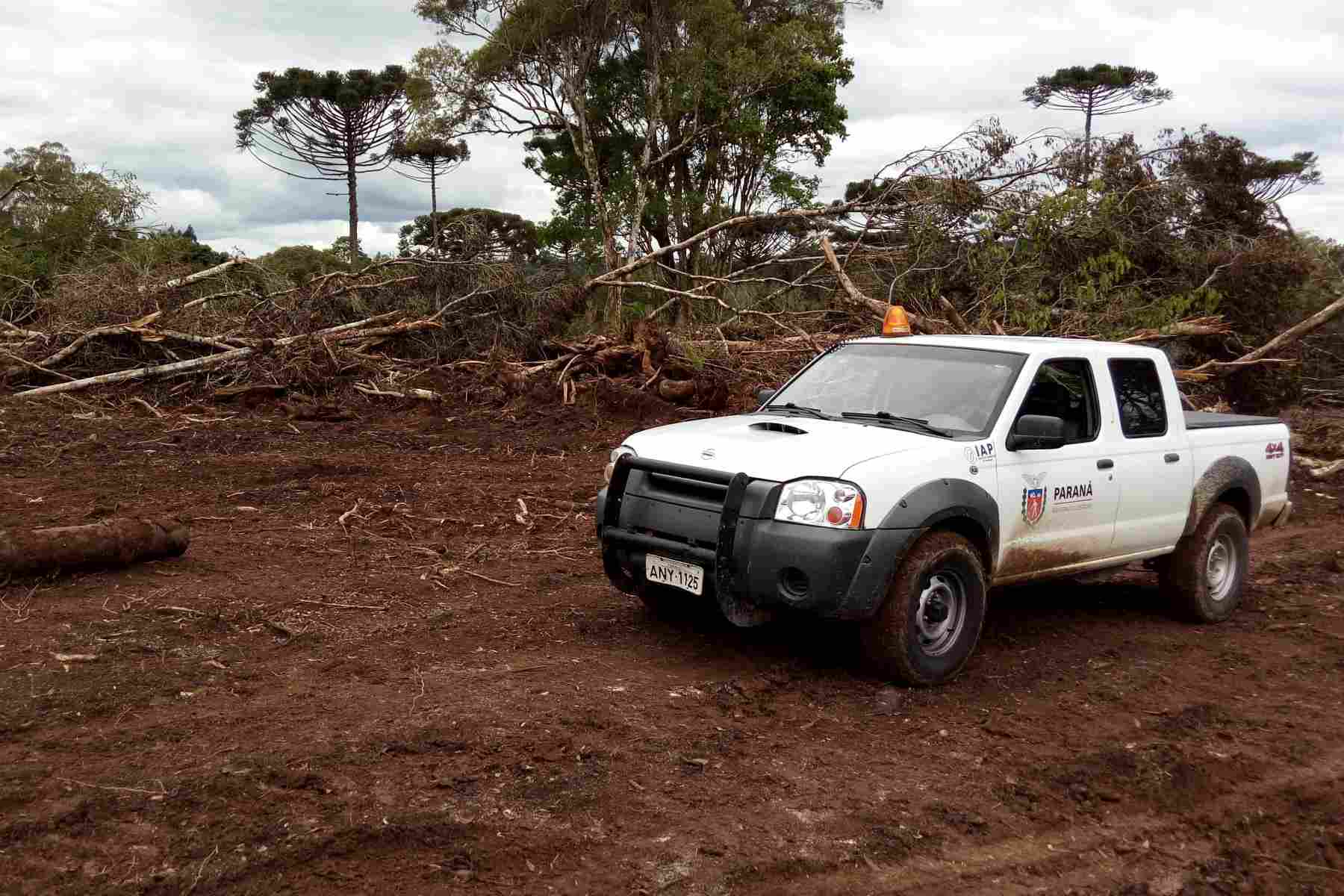 Decreto regulamenta inclusão de dívidas de multas ambientais no Regulariza Paraná