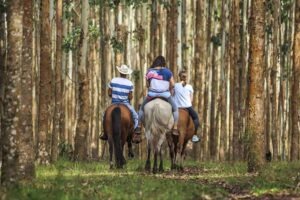 Turismo Rural, Natureza e Aventura: interiorização e desenvolvimento em perspectiva